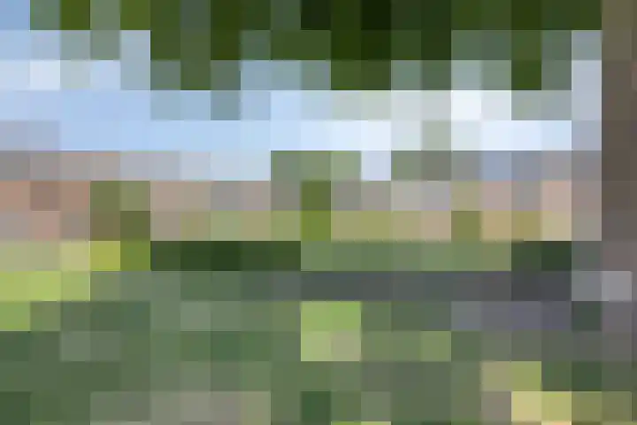 Irisstraat 6 Spijkenisse thumbnail 29