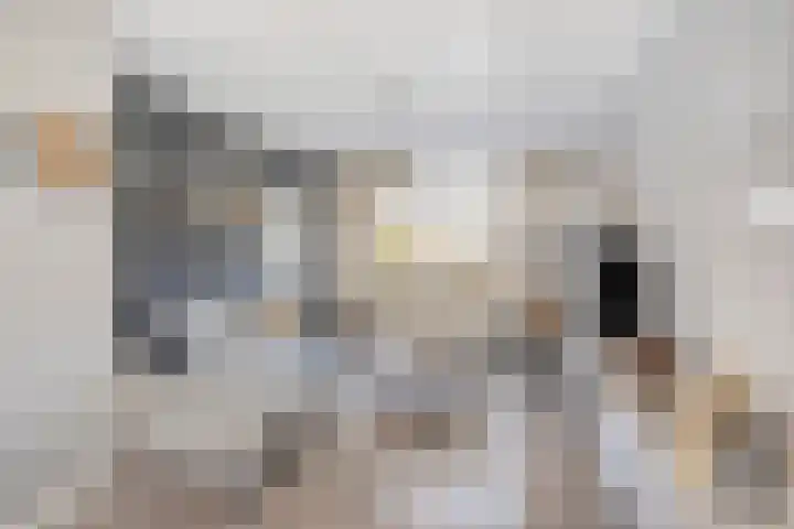 Irisstraat 6 Spijkenisse thumbnail 8