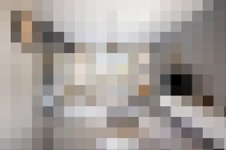 Irisstraat 6 Spijkenisse thumbnail 9