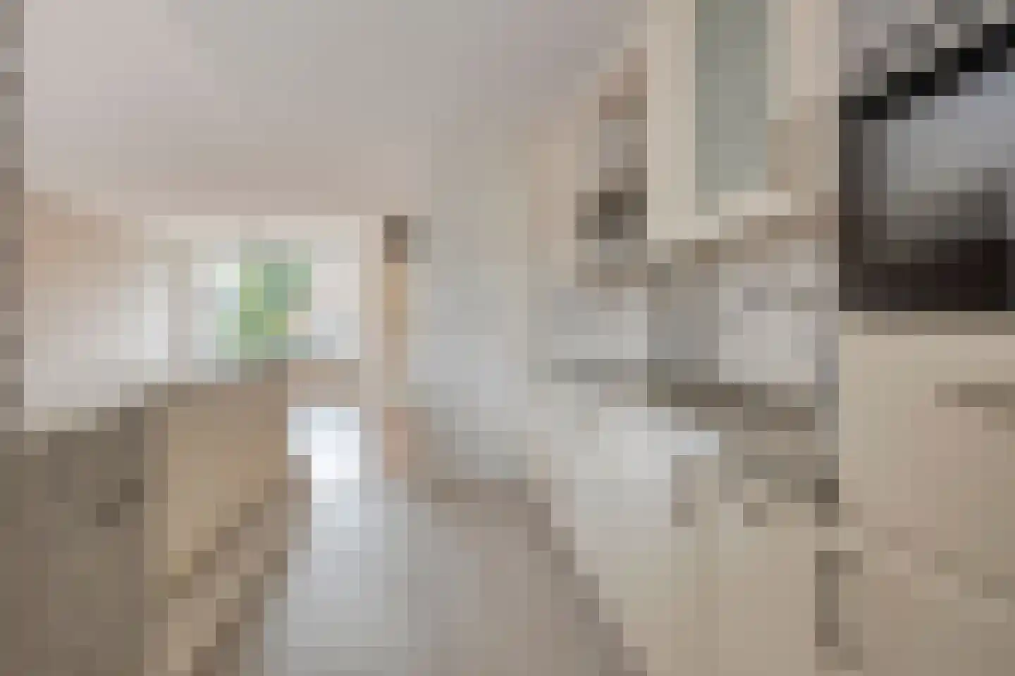 Irisstraat 6 Steenbergen thumbnail 6