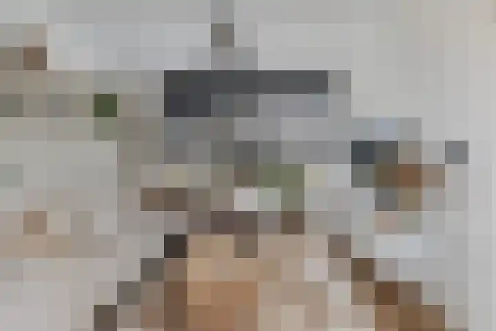 Irisstraat 6 Zuid-Beijerland thumbnail 10