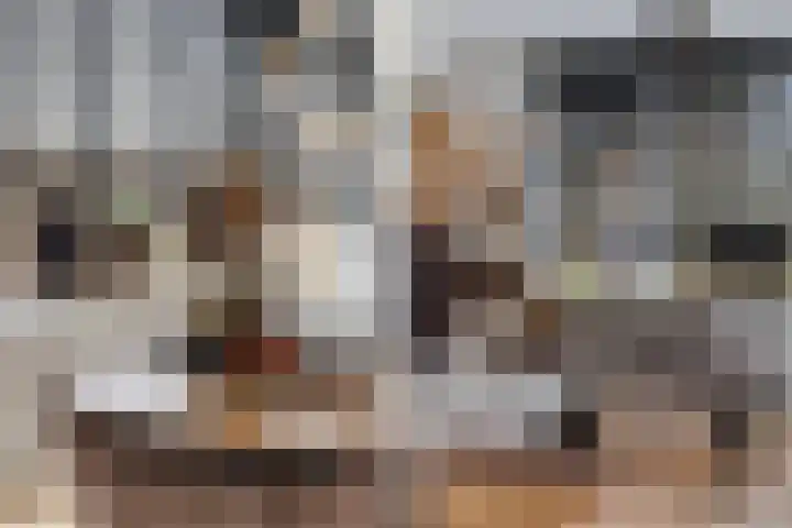 Irisstraat 6 Zuid-Beijerland thumbnail 14