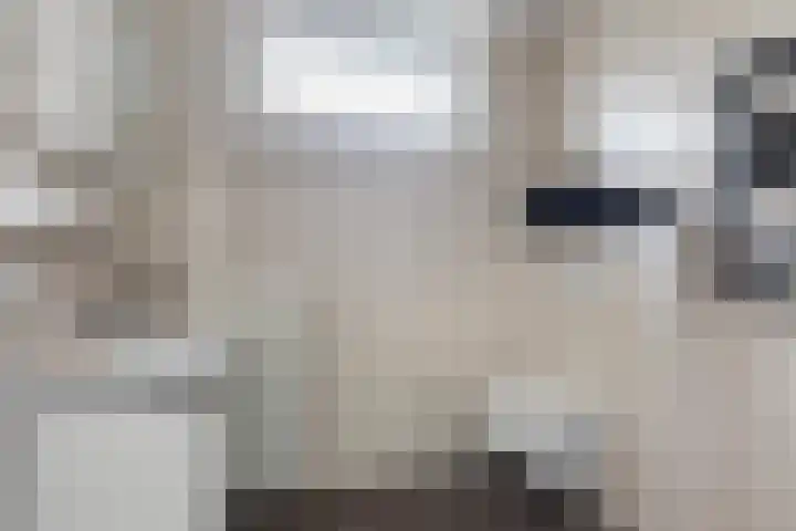 Irisstraat 6 Zuid-Beijerland thumbnail 32