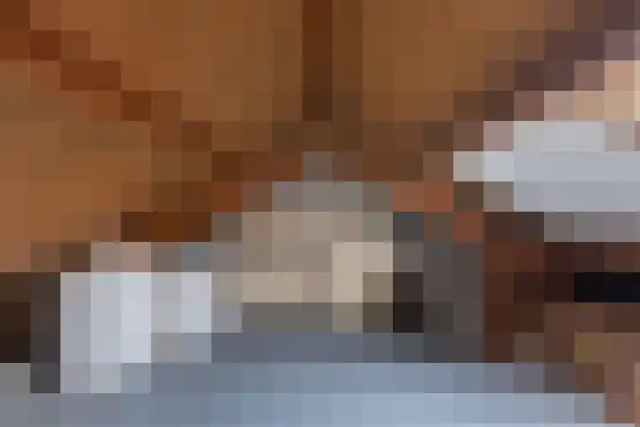 Irisstraat 6 Zuid-Beijerland thumbnail 34