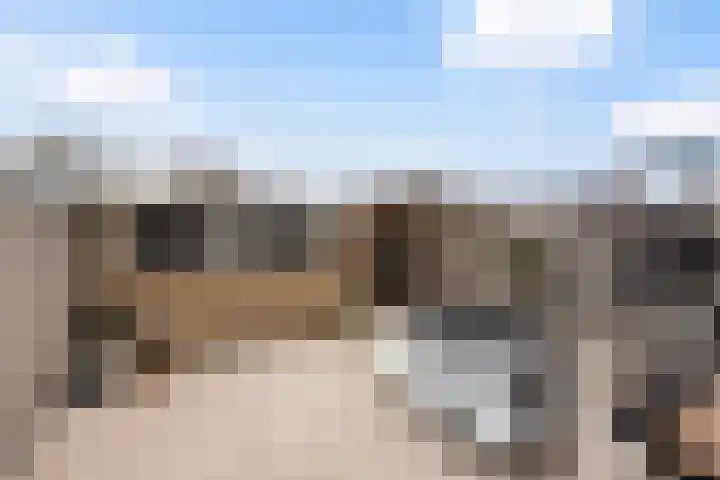 Irisstraat 6 Zuid-Beijerland thumbnail 35