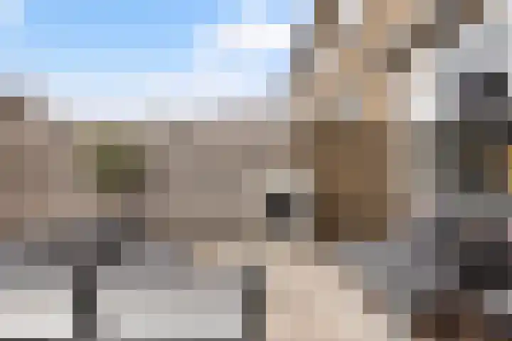 Irisstraat 6 Zuid-Beijerland thumbnail 37