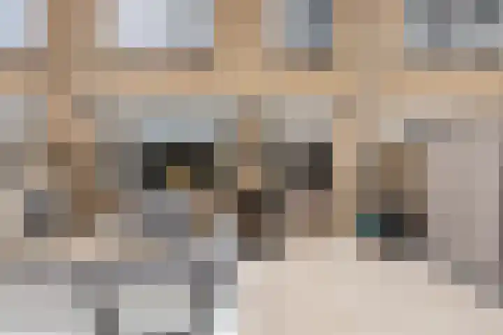 Irisstraat 6 Zuid-Beijerland thumbnail 39