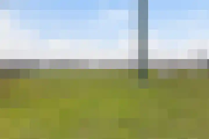 Irisstraat 6 Zuid-Beijerland thumbnail 41