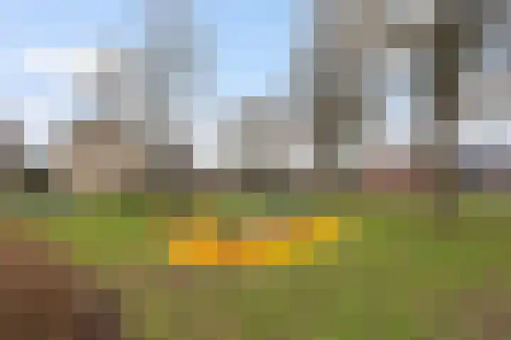 Irisstraat 6 Zuid-Beijerland thumbnail 42