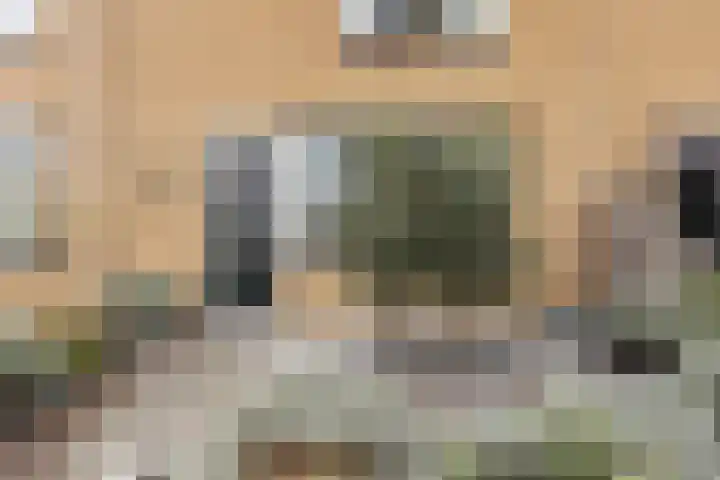 Irisstraat 6 Zuid-Beijerland thumbnail 5