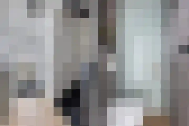 Irisstraat 6 Zuid-Beijerland thumbnail 7