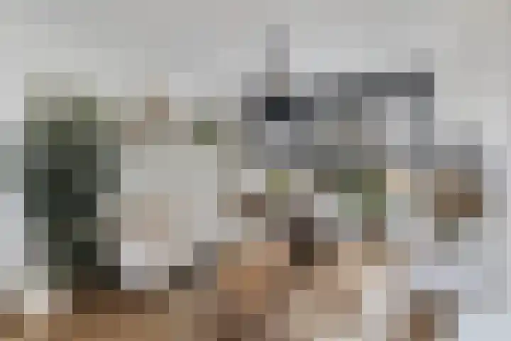 Irisstraat 6 Zuid-Beijerland thumbnail 9
