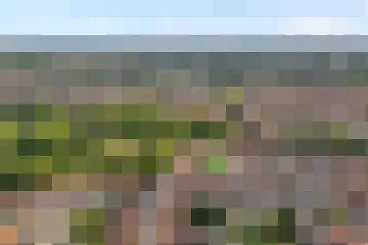 Irisstraat 63 Almelo thumbnail 4