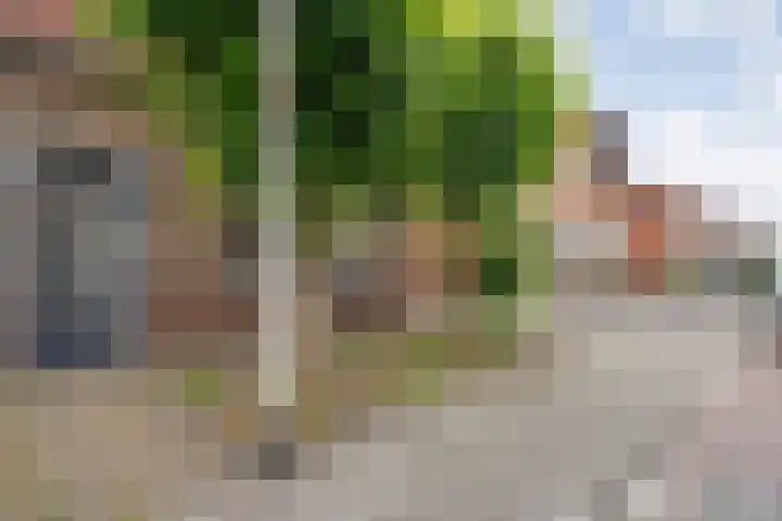Irisstraat 63 Almelo thumbnail 5
