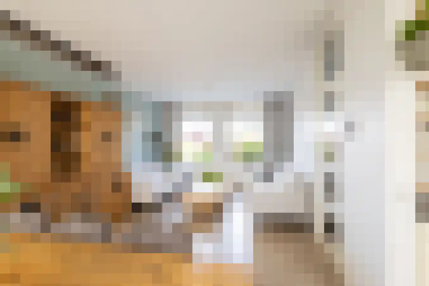 Irisstraat 63 Hoek thumbnail 13
