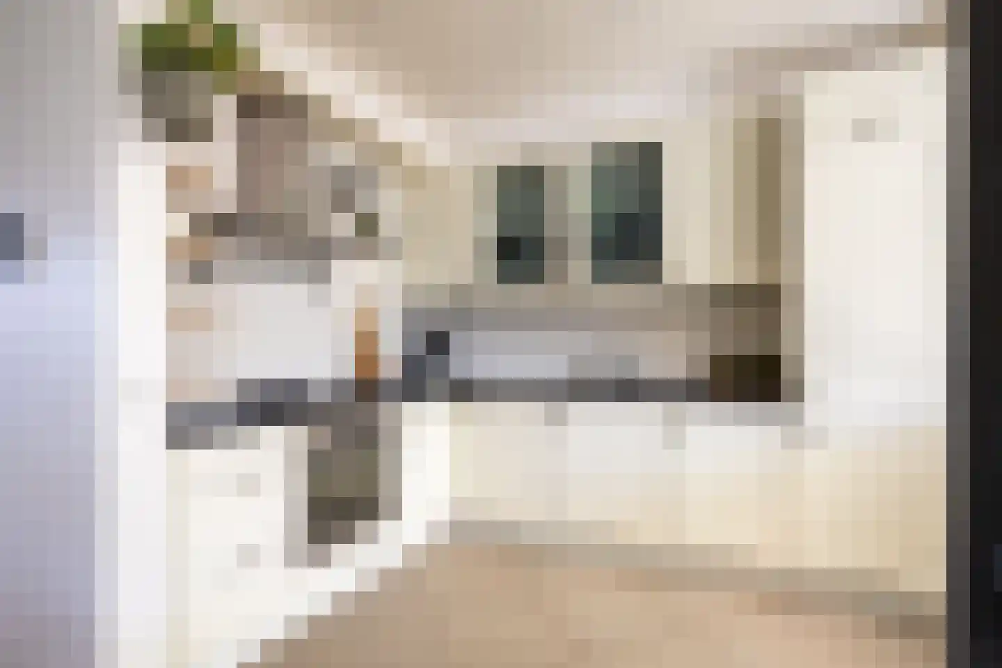 Irisstraat 63 Hoek thumbnail 15