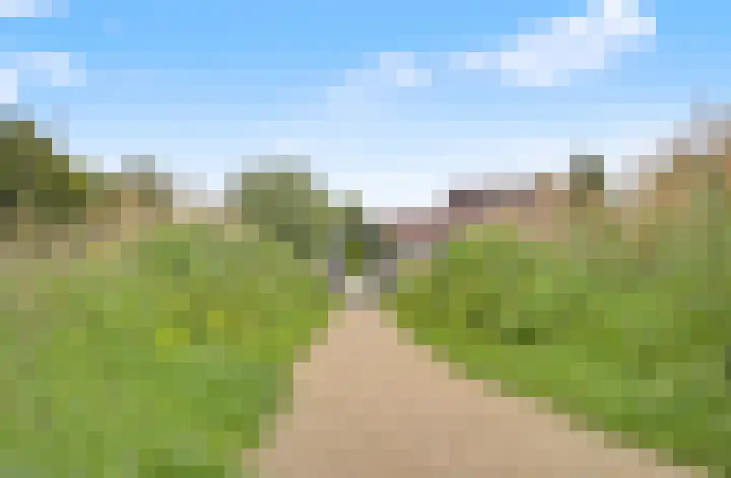 Irisstraat 63 Hoek thumbnail 39
