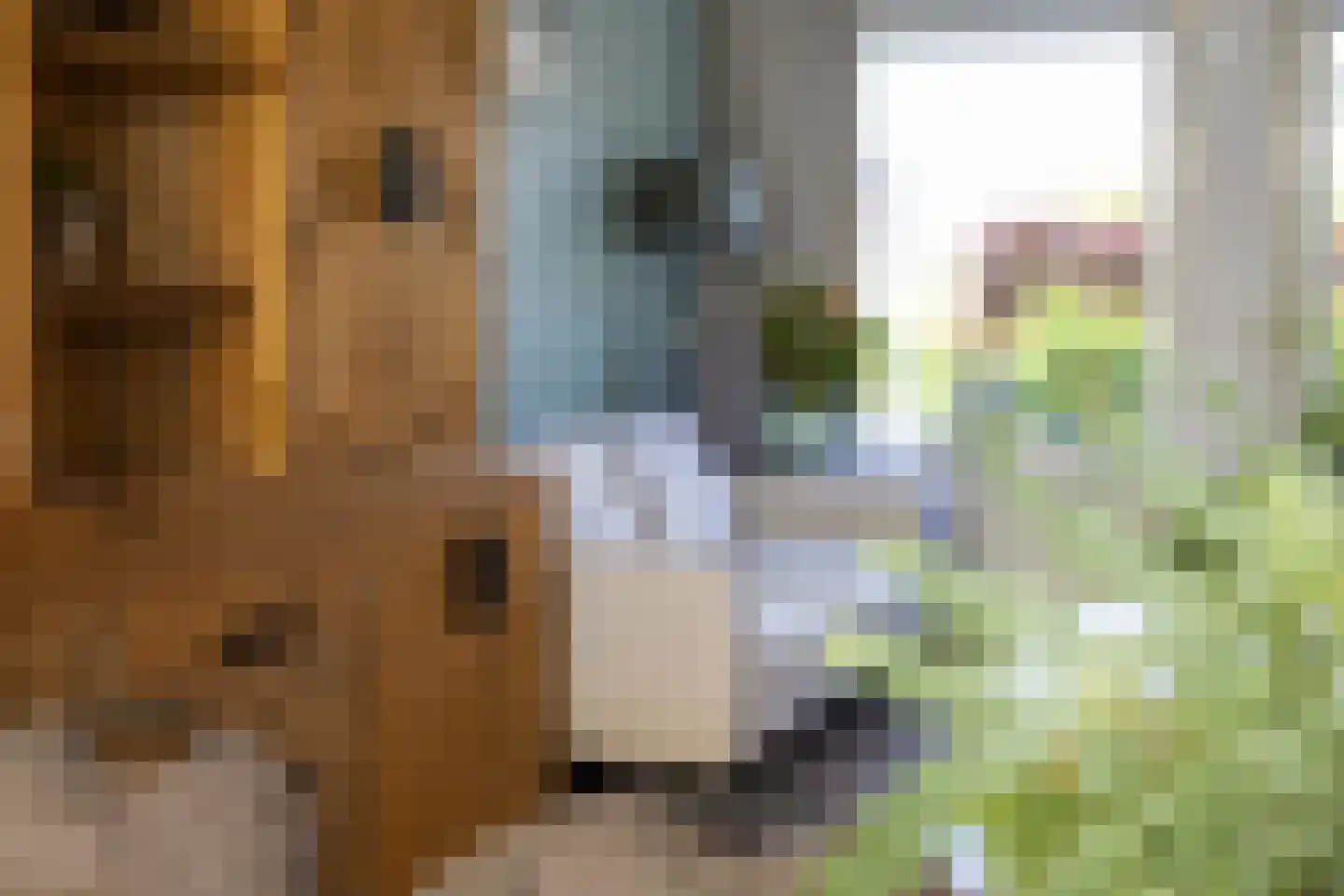 Irisstraat 63 Hoek thumbnail 9