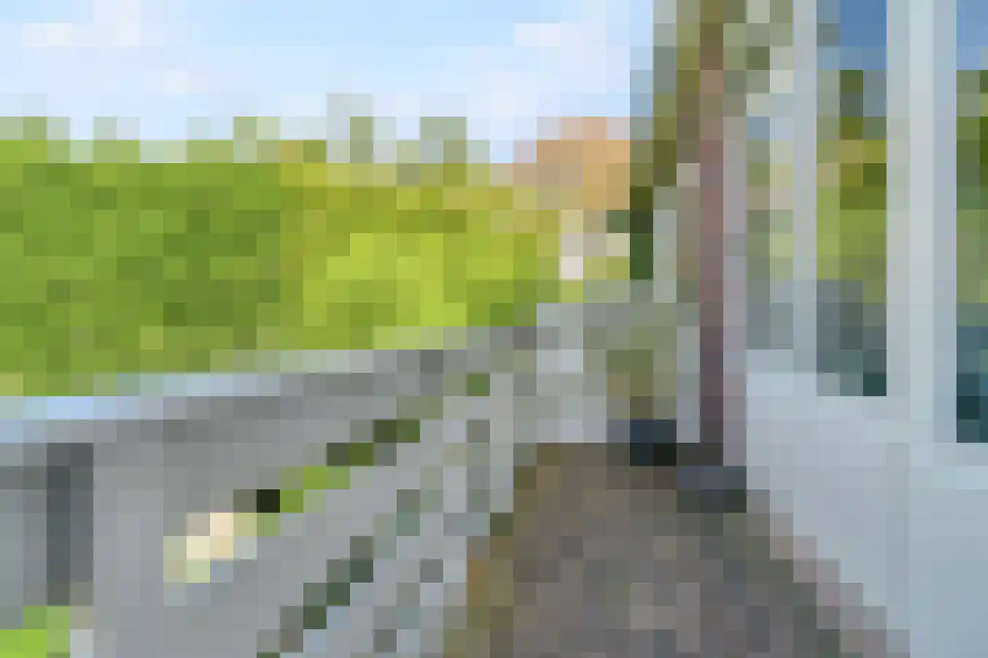 Irisstraat 7 Wassenaar thumbnail 17