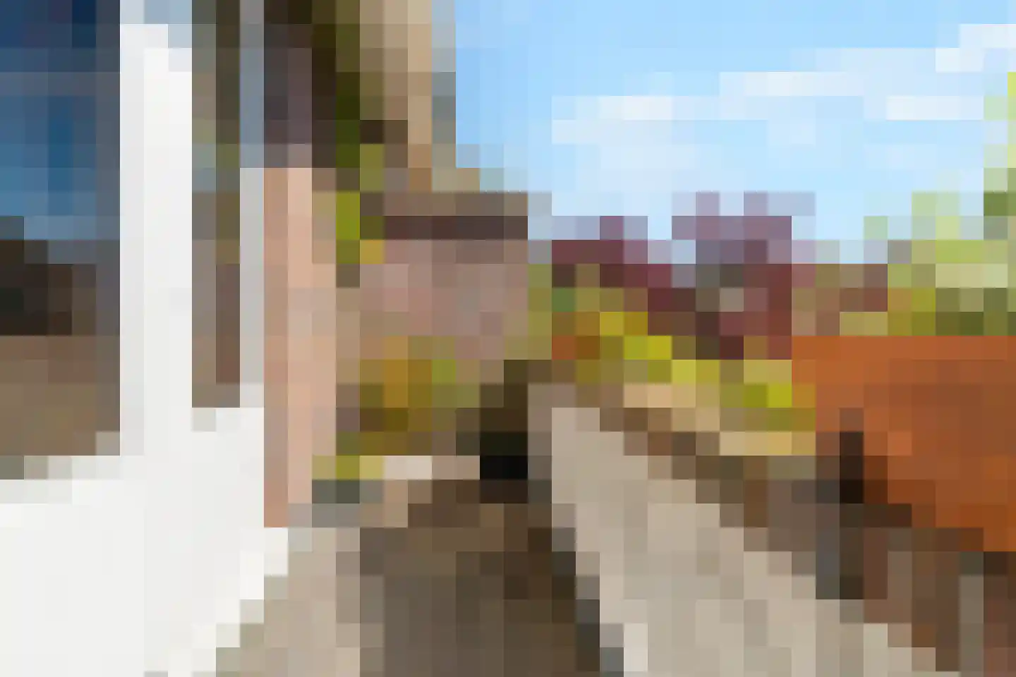 Irisstraat 7 Wassenaar thumbnail 22