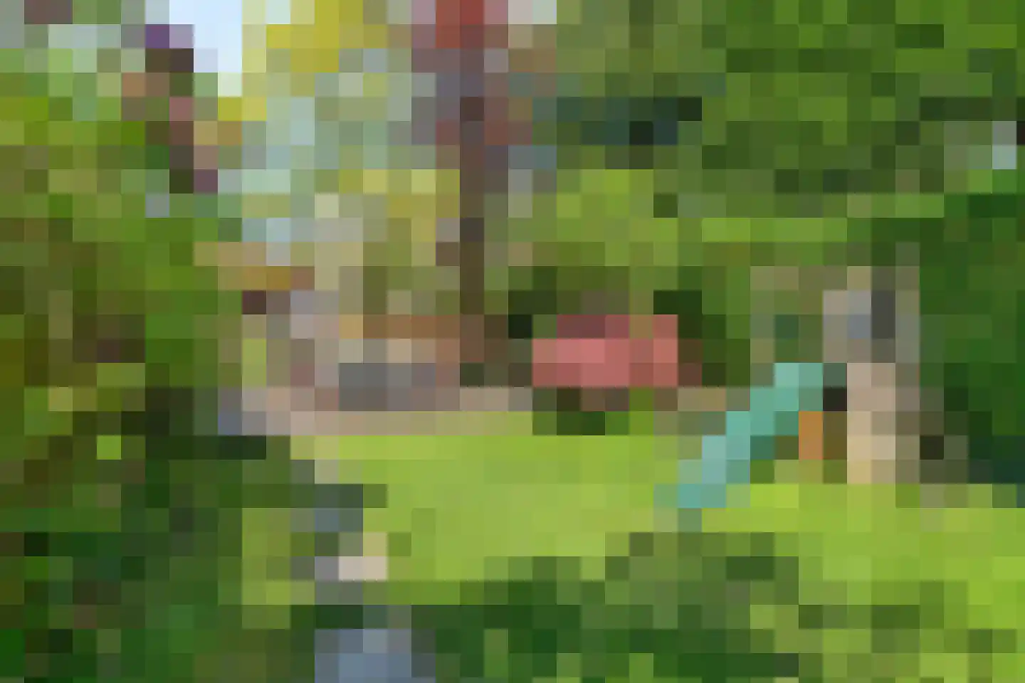 Irisstraat 7 Wassenaar thumbnail 31