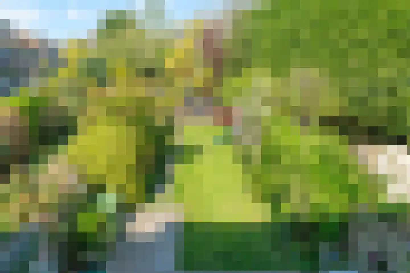 Irisstraat 7 Wassenaar thumbnail 34