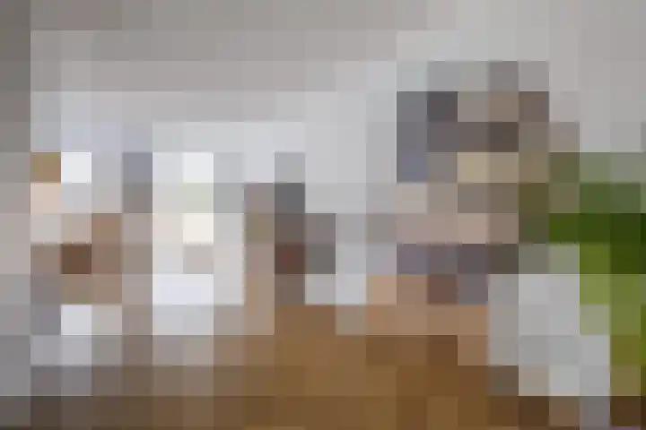 Irisstraat 70 Losser thumbnail 17
