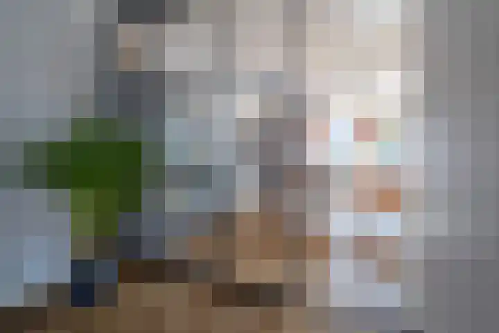 Irisstraat 70 Losser thumbnail 19