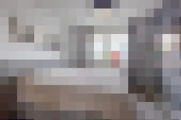 Irisstraat 70 Losser thumbnail 27