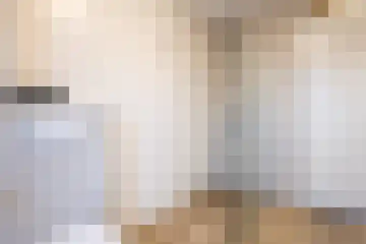 Irisstraat 70 Losser thumbnail 33