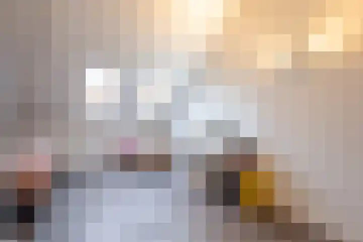 Irisstraat 70 Losser thumbnail 39