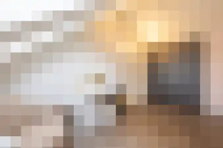 Irisstraat 70 Losser thumbnail 40