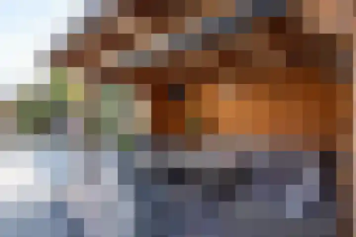 Irisstraat 70 Losser thumbnail 45
