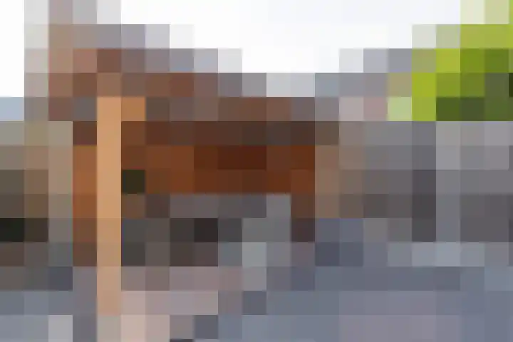 Irisstraat 70 Losser thumbnail 51