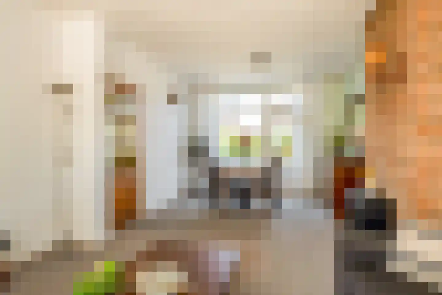 Irisstraat 77 Losser thumbnail 13