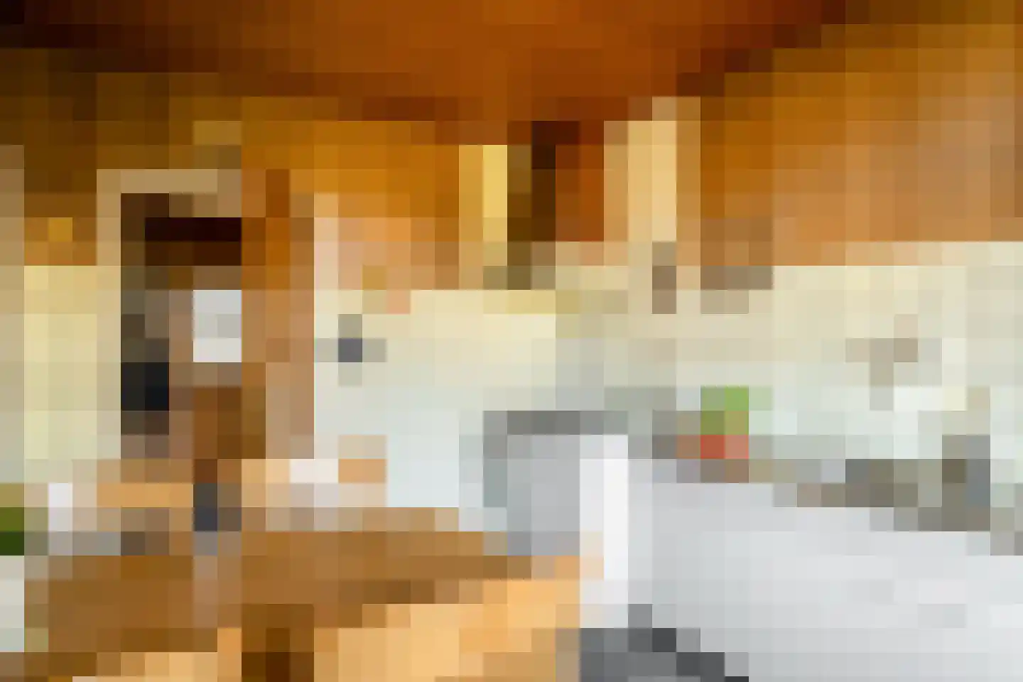 Irisstraat 77 Losser thumbnail 15