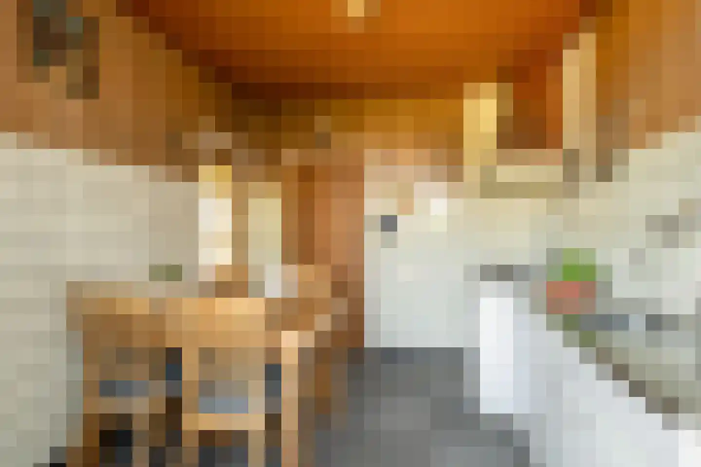 Irisstraat 77 Losser thumbnail 16