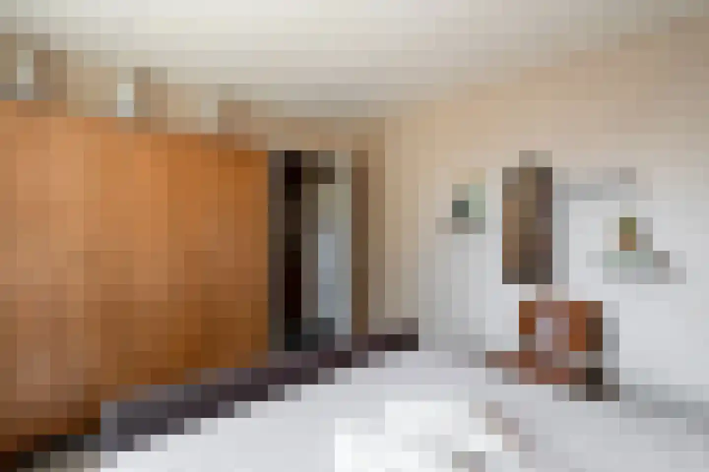 Irisstraat 77 Losser thumbnail 19