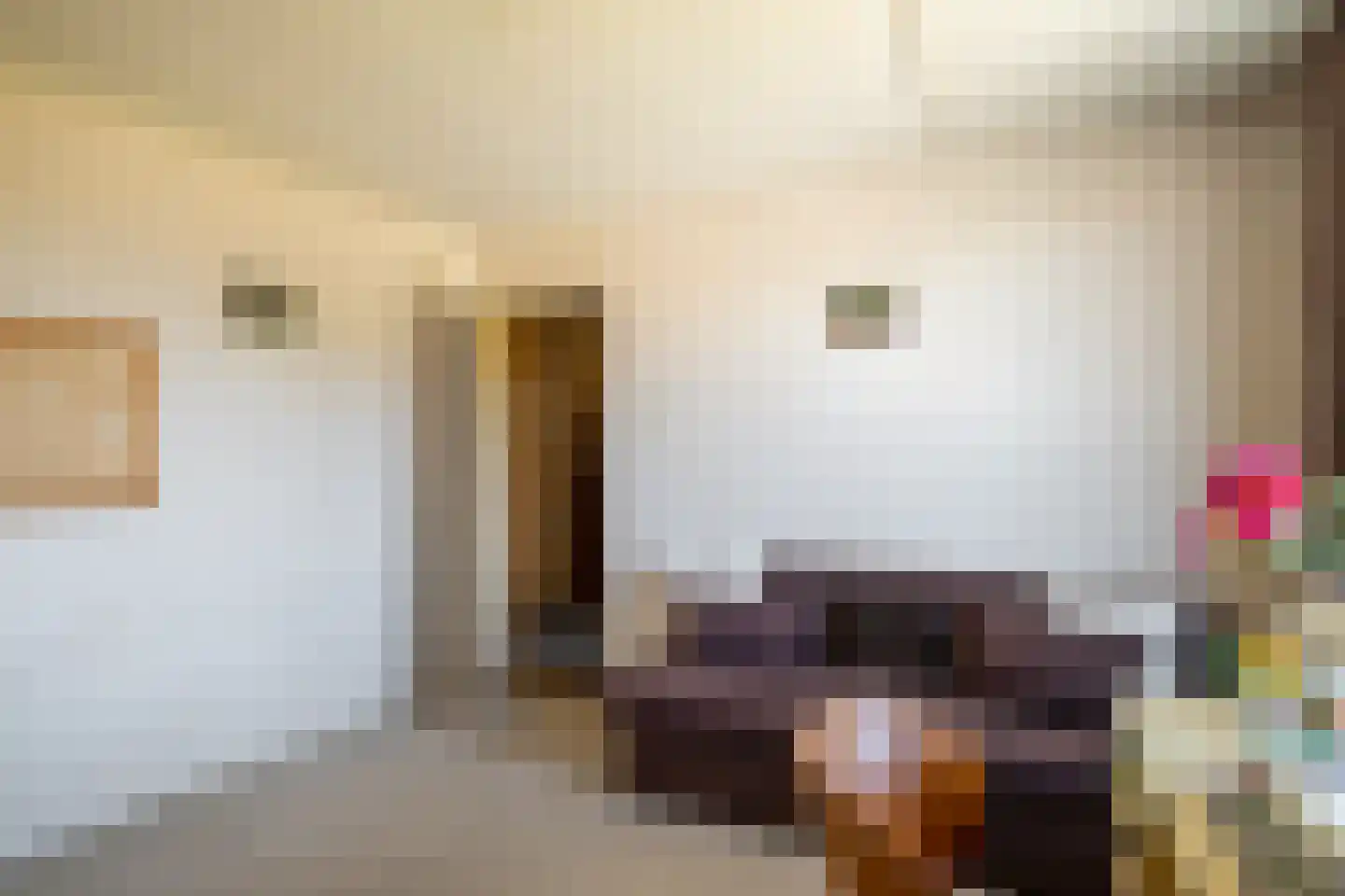 Irisstraat 77 Losser thumbnail 21