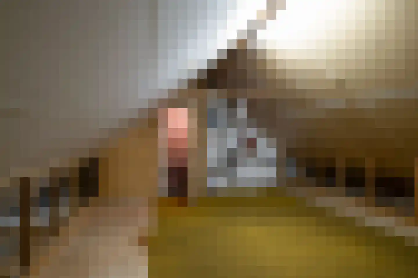 Irisstraat 77 Losser thumbnail 25