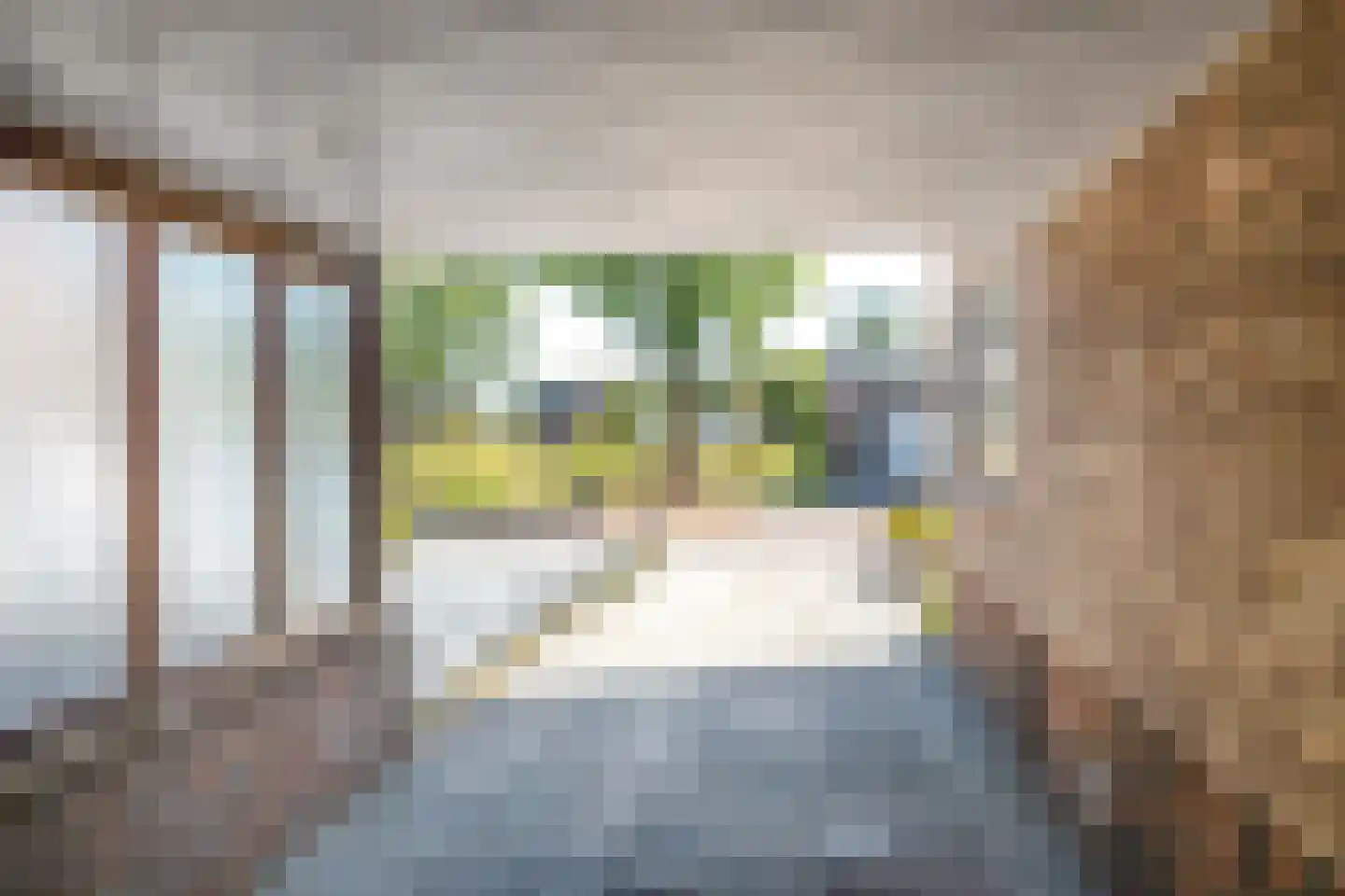 Irisstraat 77 Losser thumbnail 27