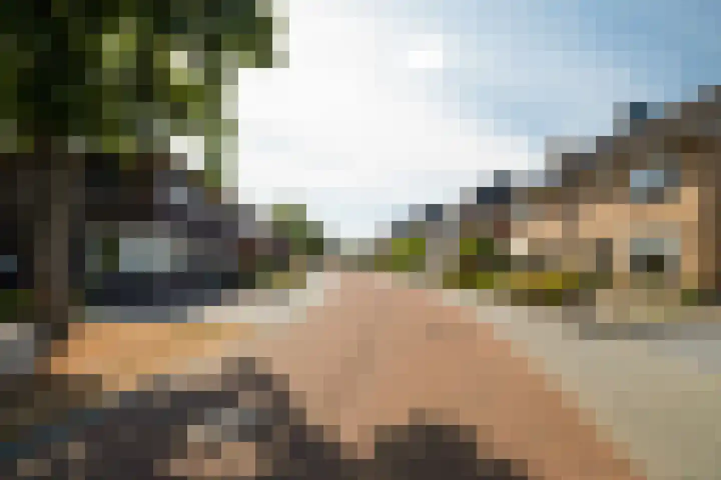 Irisstraat 77 Losser thumbnail 34
