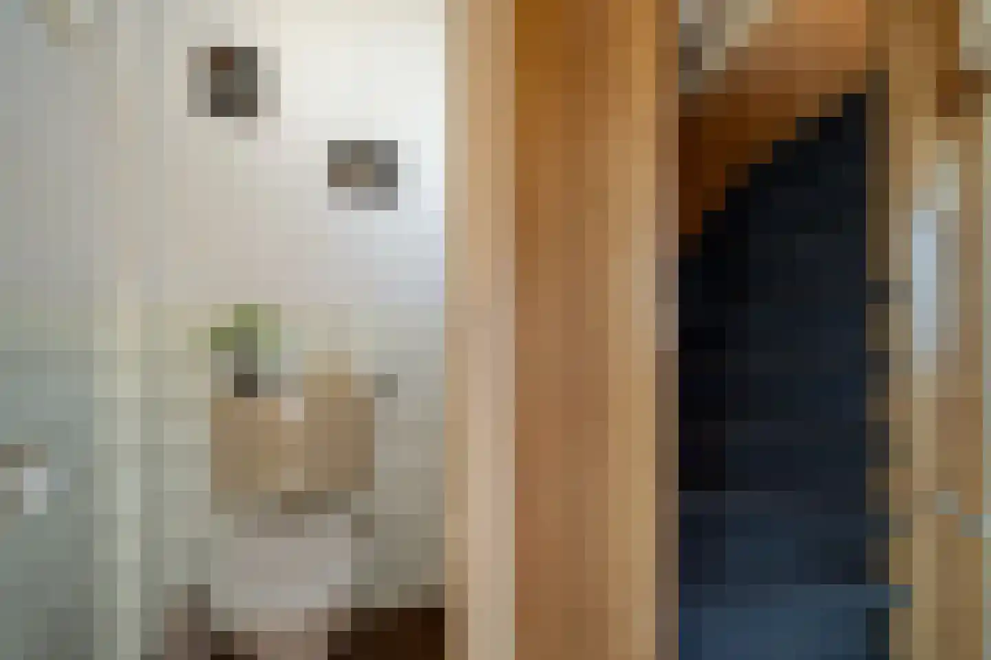 Irisstraat 77 Losser thumbnail 8