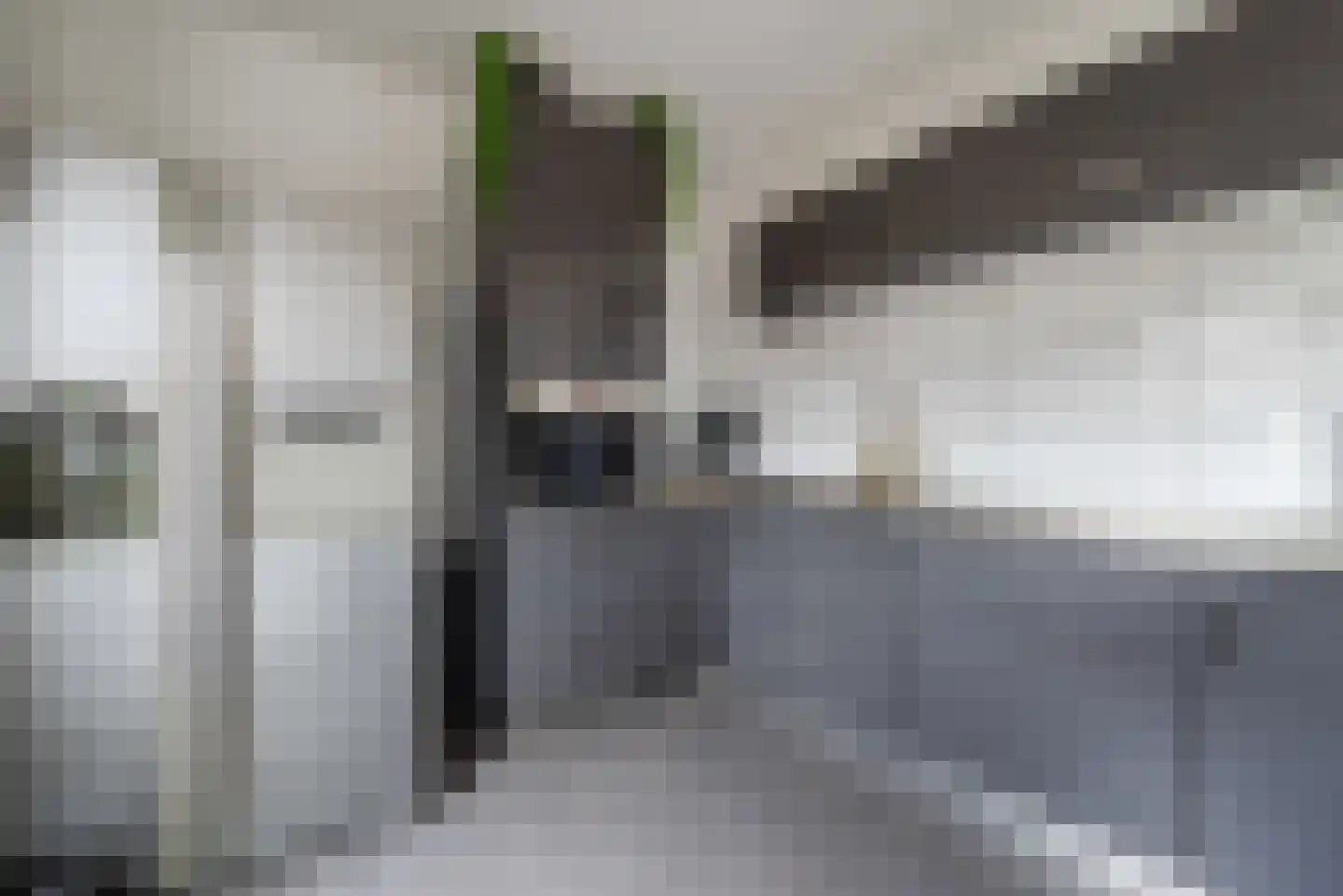 Irisstraat 8 Sint-Oedenrode thumbnail 10