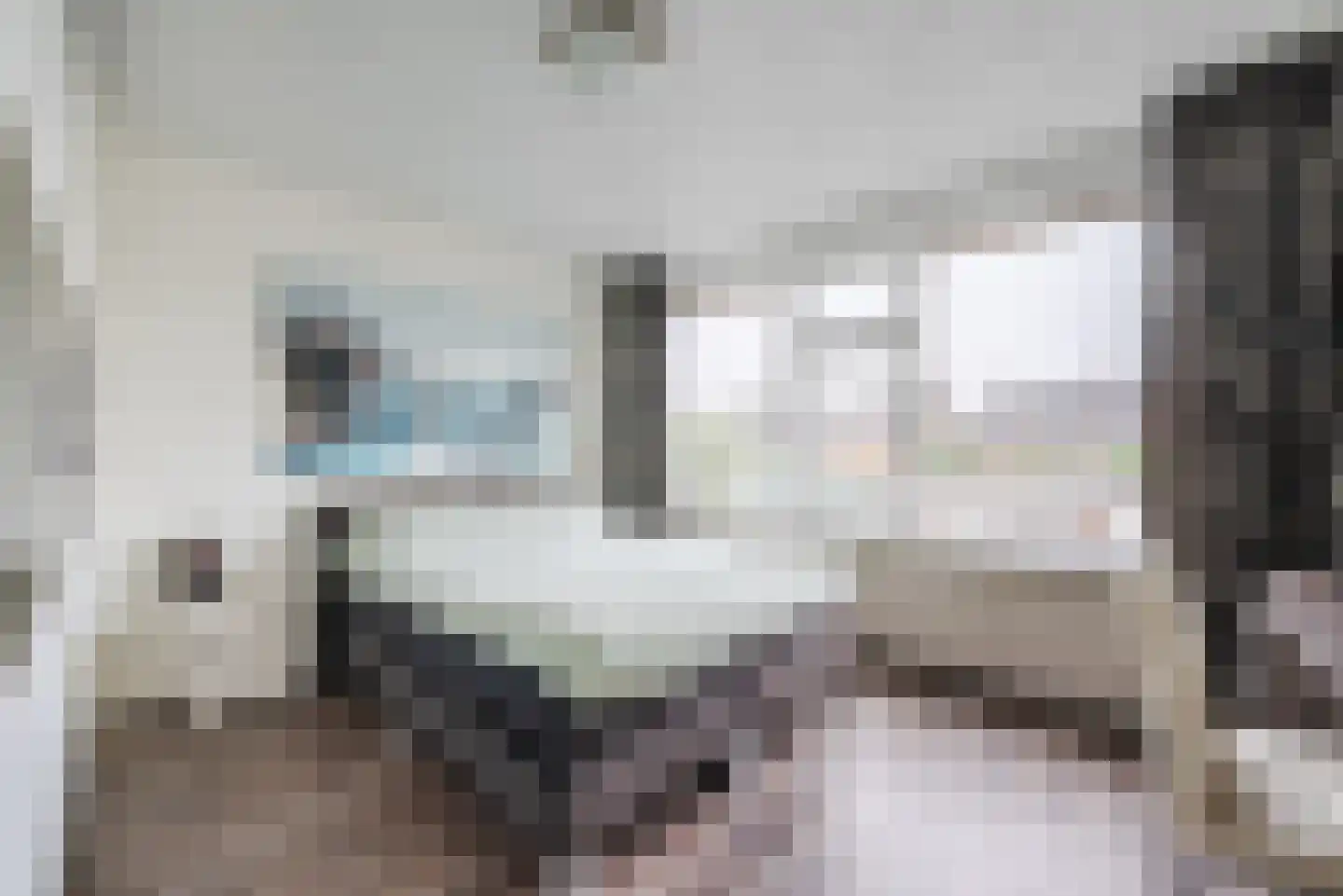 Irisstraat 8 Sint-Oedenrode thumbnail 12