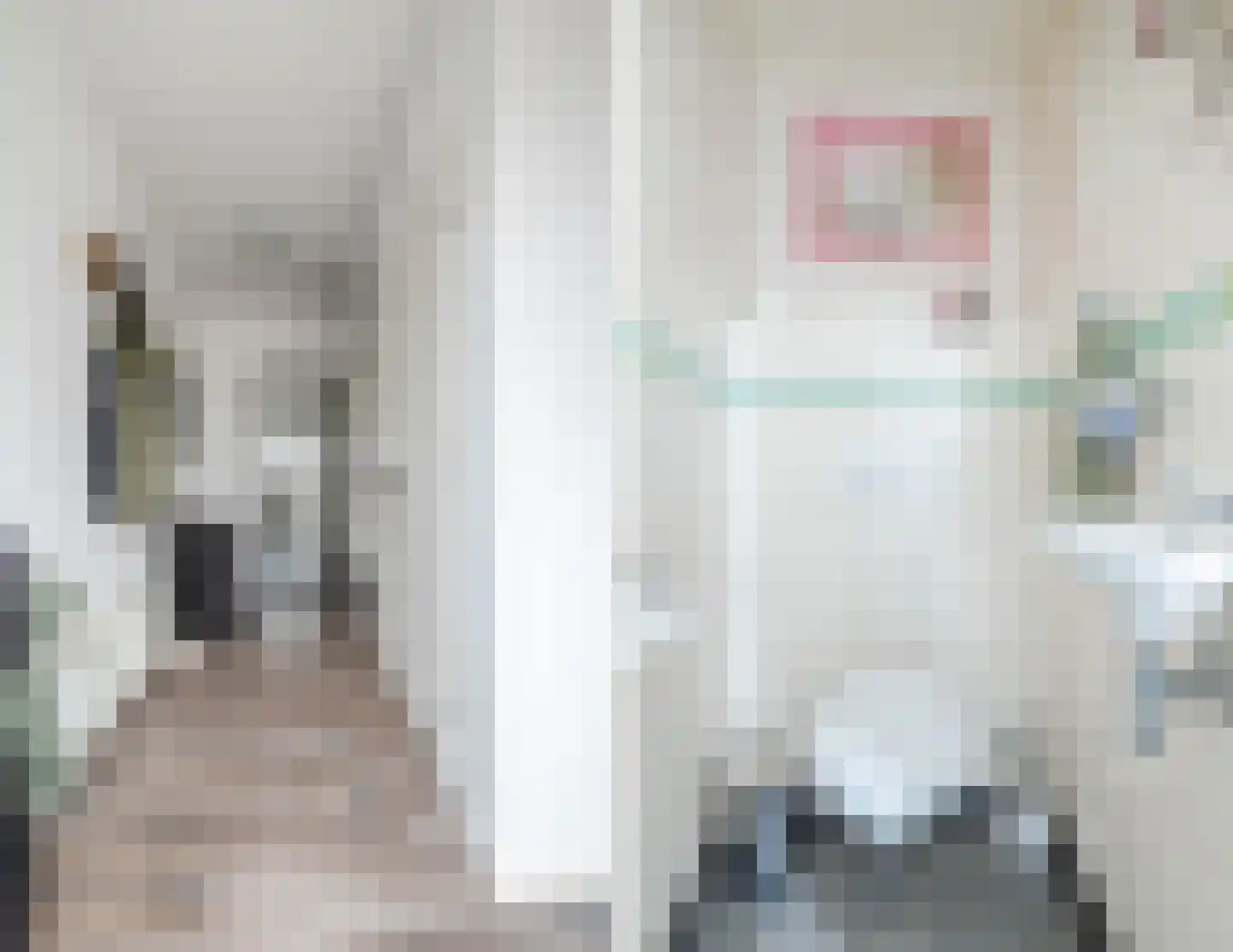 Irisstraat 8 Sint-Oedenrode thumbnail 5