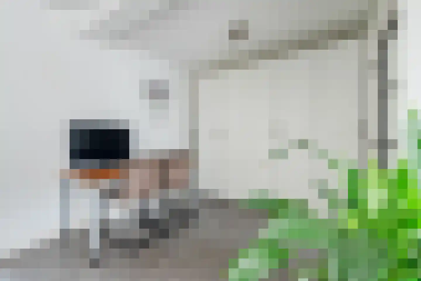 Irisstraat 8 Sint-Oedenrode thumbnail 8