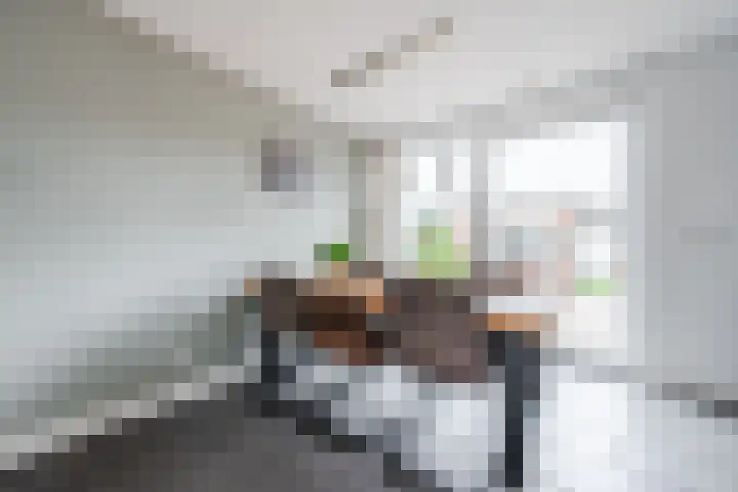 Irisstraat 8 Sint-Oedenrode thumbnail 9