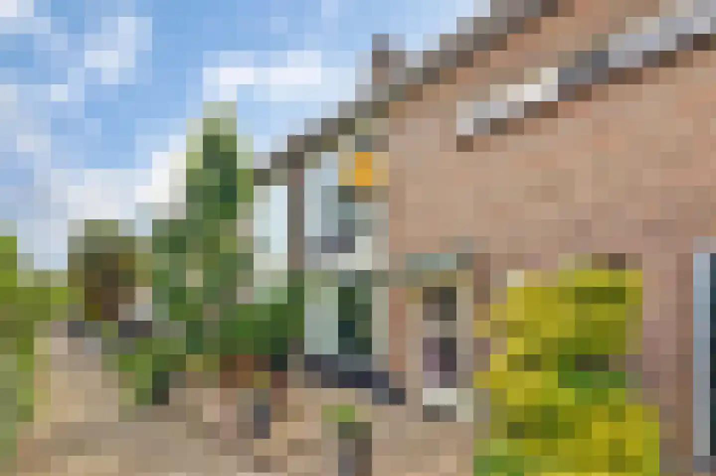 Irisstraat 9 in Spijkenisse