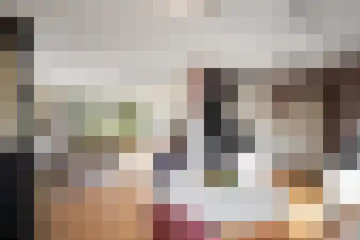 Irisstraat 9 Hippolytushoef thumbnail 11